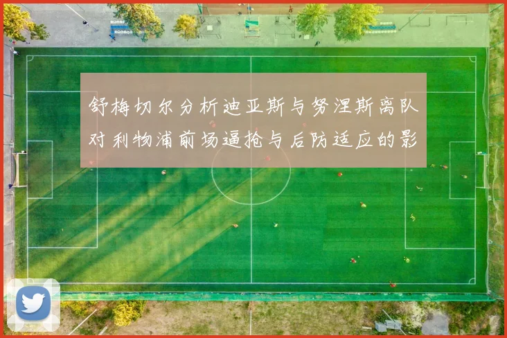 舒梅切尔分析迪亚斯与努涅斯离队对利物浦前场逼抢与后防适应的影响