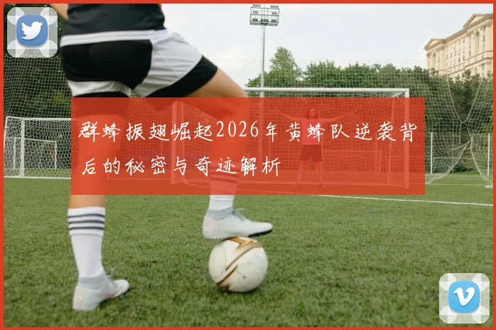 群蜂振翅崛起2026年黄蜂队逆袭背后的秘密与奇迹解析
