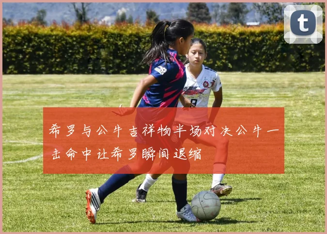 希罗与公牛吉祥物半场对决公牛一击命中让希罗瞬间退缩