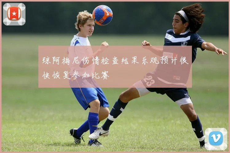 琼阿梅尼伤情检查结果乐观预计很快恢复参加比赛
